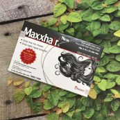 Maxxhair viên uống mọc tóc a12