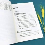 Trò Bịp Trên Phố Wall sự giàu xây dựng a1234